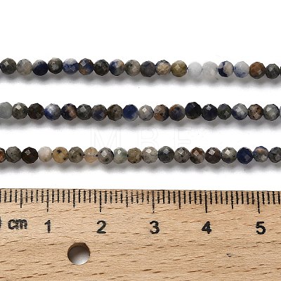 Natural Sodalite Beads Strands G-RM2025-A19-3mm-1