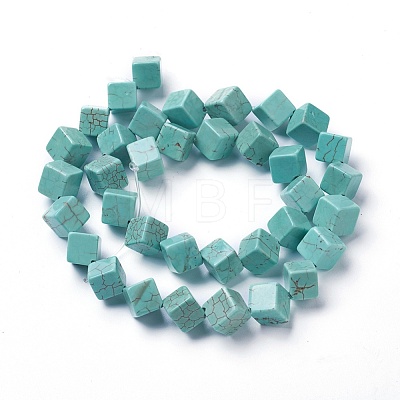 Dyed & Heated Natural Howlite Beads Strands G-F592-06-C-1