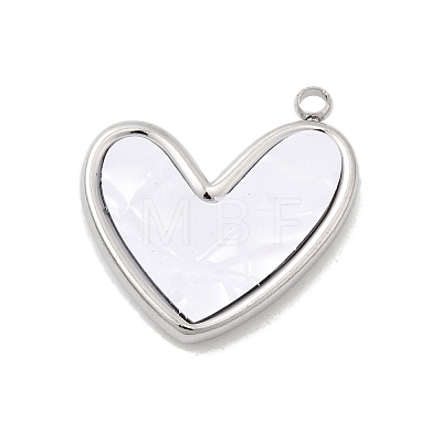 304 Stainless Steel Resin Pendants STAS-B113-06P-1