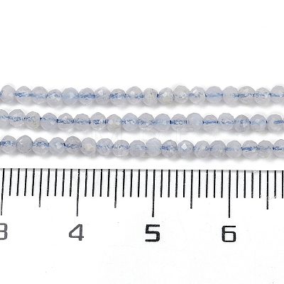 Natural Blue Lace Agate Beads Strands G-Z074-A01-03-1