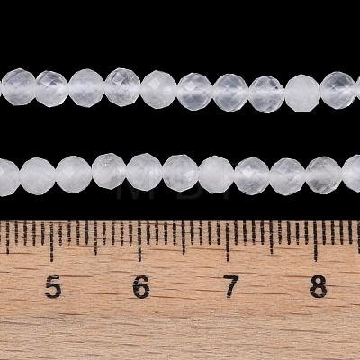 Natural Quartz Crystal Beads Strands G-H002-A02-02-1