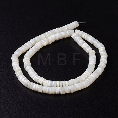 Natural Trochid Shell/Trochus Shell Beads Strands SHEL-P015-12-1