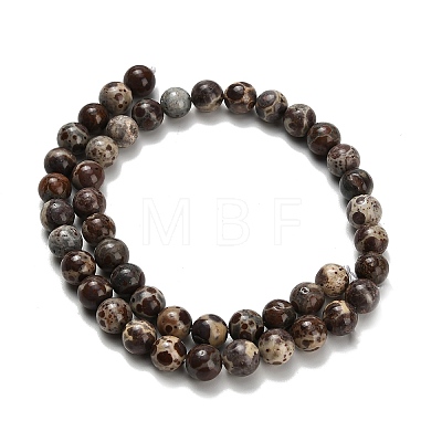 Natural Astroite Jasper Beads Strands G-H329-C02-8mm-1