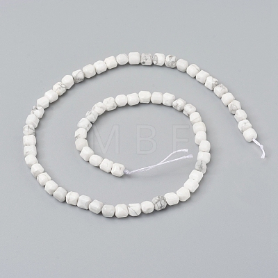 Natural Howlite Beads Strands G-I270-09-1