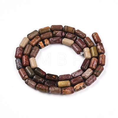 Natural Picasso Jasper/Polychrome Jasper Beads Strands G-N346-01A-05-1