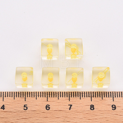 Transparent Acrylic Beads TACR-S154-12A-81-1