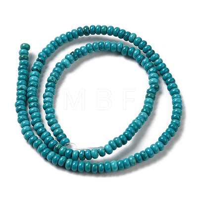 Natural Howlite Beads Strands G-B049-C01-09A-1