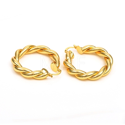 Brass Hoop Earrings EJEW-F250-04-G-1