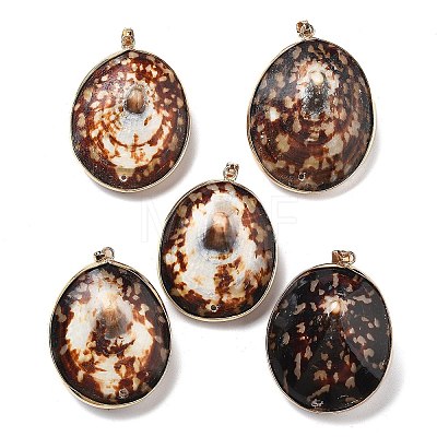 Electroplate Natural Shell Pendants KK-F882-03G-1