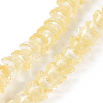 Transparent Glass Beads Strands LAMP-H061-01C-06-1