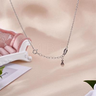 4 Pieces Extension Chain with Spring Clasp Sterling Silver Extender Chains with Love Heart Necklace Bracelet Anklet Removable Chain Extenders Charms for DIY Jewelry Making Accessories JX626A-1