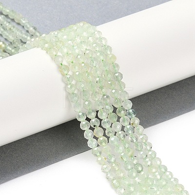 Natural Prehnite Beads Strands G-G139-A05-03-1