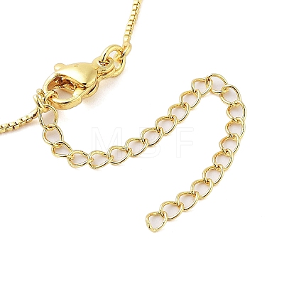 Brass Clear Cubic Zirconia Nossa Senhora Aparecida Pendant Necklaces for Women LS-NJEW-M009-05G-A-1