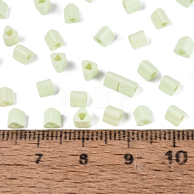 FGB Baking Paint Glass Seed Beads SEED-Q040-09A-10-1