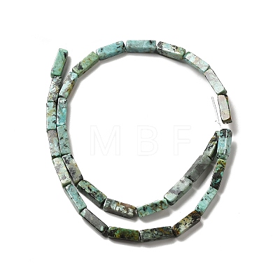 Natural African Turquoise(Jasper) Beads Strands G-F729-01-1