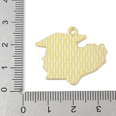 School Supplies Alloy Enamel Pandants FIND-M083-03G-G-1