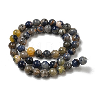 Natural Sodalite Beads Strands G-F591-13-1