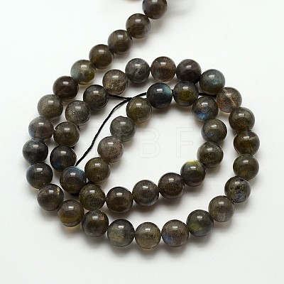 Natural Gemstone Labradorite Round Beads Strands G-E251-33-12mm-1