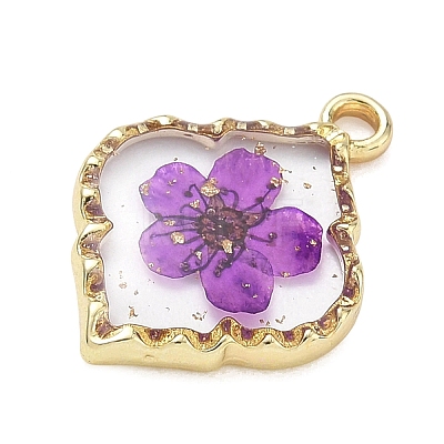 Alloy Epoxy Resin Pendants AL-Z001-08G-05-1