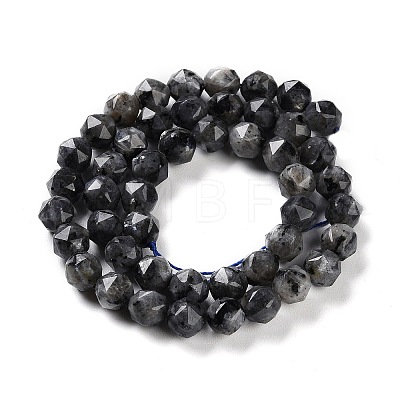 Natural Larvikite Beads Strands G-NH0021-A04-01-1