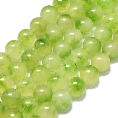 Natural Malaysia Jade Beads Strands G-L645-C01-14mm-31-1