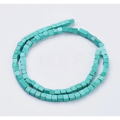 Natural Magnesite Beads Strands TURQ-K003-24-1