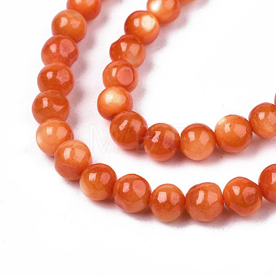 Natural Freshwater Shell Beads Strands X-SHEL-N003-24-B06-1