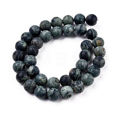 Frosted Natural Kambaba Jasper Beads Strands G-M272-14-6mm-1