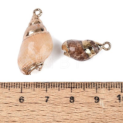 Electroplate Natural Spiral Shell Pendants SSHEL-Q100-32G-1