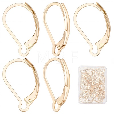 60Pcs 304 Stainless Steel Leverback Earring Findings STAS-SC0004-61-1