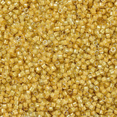 MIYUKI Delica Beads SEED-J020-DB2041-1