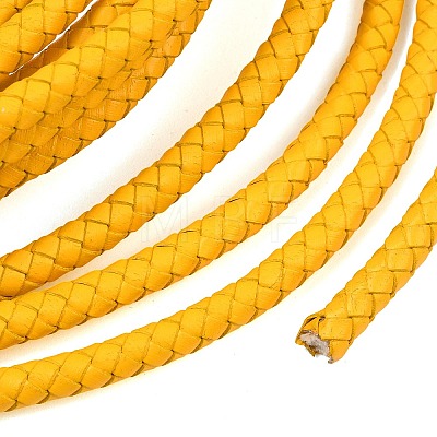 Braided Leather Cord with Core WL-F009-6mm-01-1