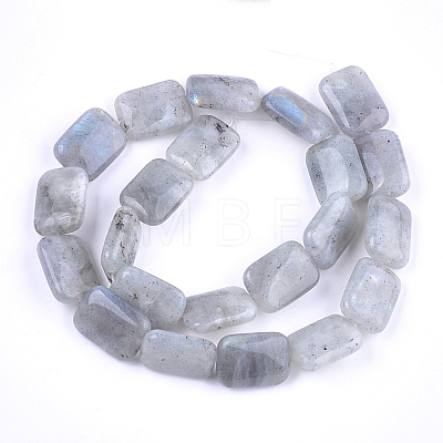 Natural Labradorite Beads Strands G-T121-13-1