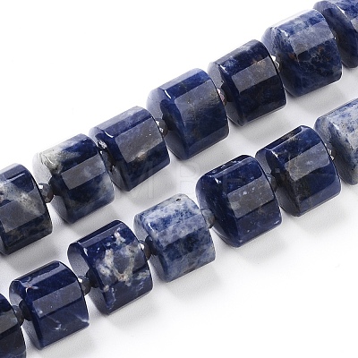 Natural Sodalite Beads Strands G-G801-01-1