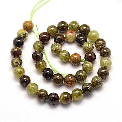 Natural Green Garnet Beads Strands G-G661-10mm-1