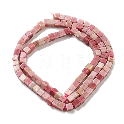 Natural Rhodonite Beads Strands G-C129-A14-01-1