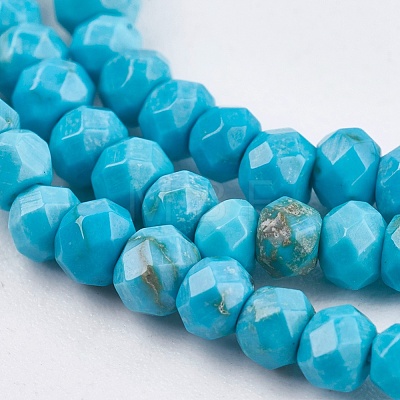 Dyed Natural Turquoise Beads Strands TURQ-F010-05-1