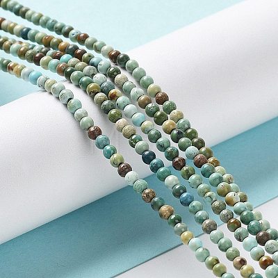 Natural HuBei Turquoise Beads Strands G-M411-A01-02-1