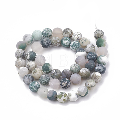 Natural Tree Agate Beads Strands G-T106-038-1