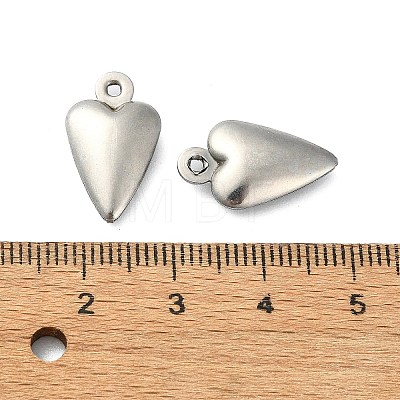 304 Stainless Steel Pendants STAS-L024-009P-1