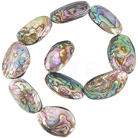 1 Strand Natural Abalone Shell/Paua Shell Beads Strands SSHEL-SC0001-64-1