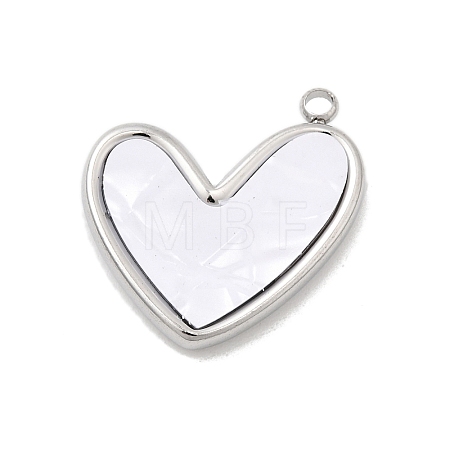 304 Stainless Steel Resin Pendants STAS-B113-06P-1