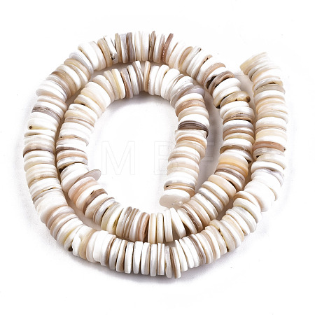 Natural Freshwater Shell Beads Strands SHEL-N003B-02-1
