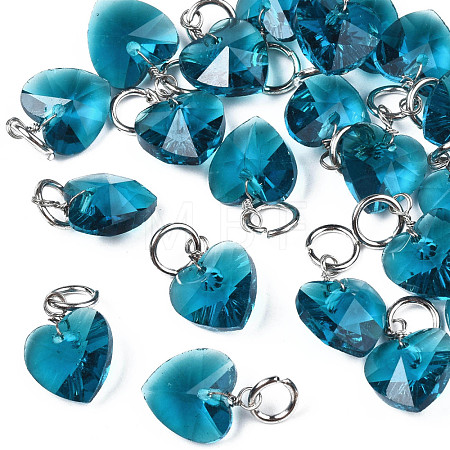 Faceted Transparent Glass Charms GLAA-T024-04D-1