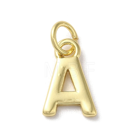 Rack Plating Brass Charms KK-P245-06G-A-1