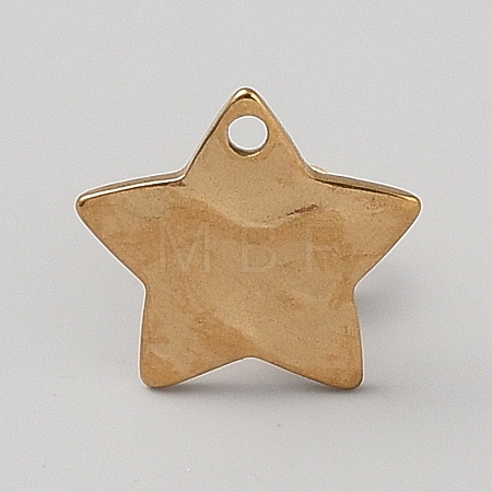 304 Stainless Steel Stud Earring Findings EJEW-WH20014-09A-1