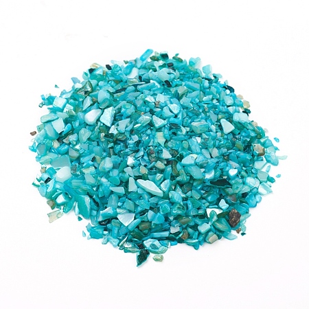 Natural Freshwater Shell Beads X-BSHE-I011-03B-1