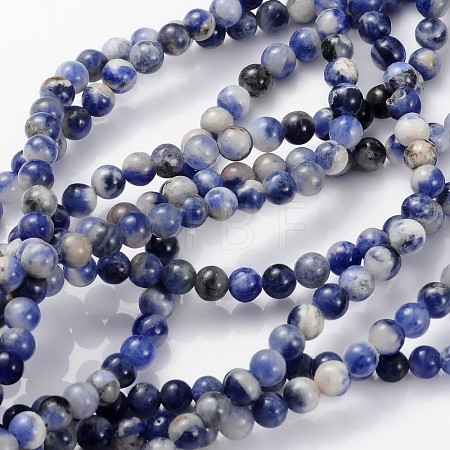 Natural Sodalite Beads Strands X-GSR4mmC013-1