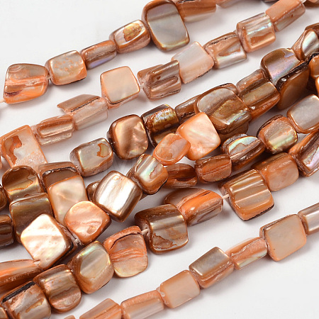 Erose Natural Shell Beads Strands PBB069Y-1