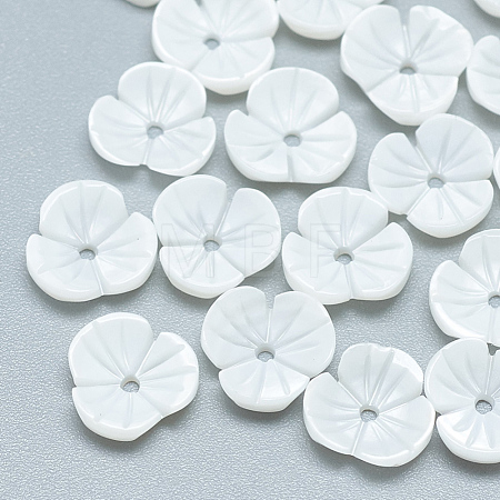 Freshwater Shell Beads SHEL-S275-013B-1